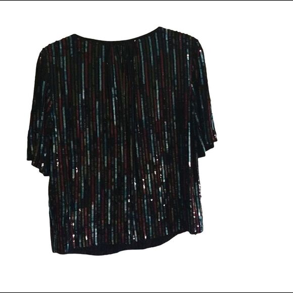 Velvet by Graham and Spencer Nikky Multicolor Sequin Short Sleeve Top small - Picture 5 of 7